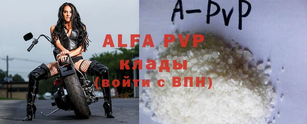 дмт Тайга