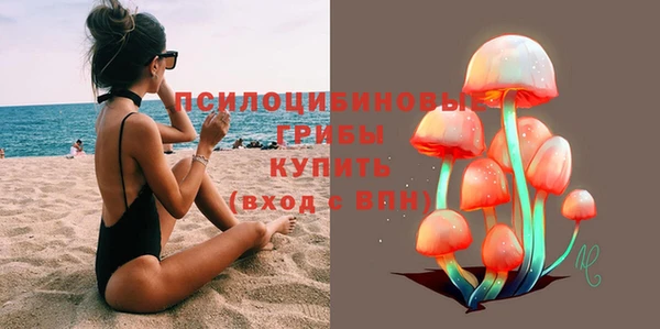 дмт Тайга