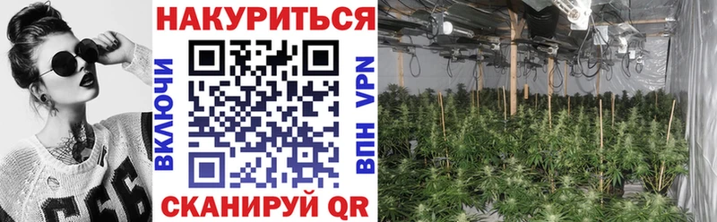 купить сайты kraken Марихуана план Нефтеюганск
